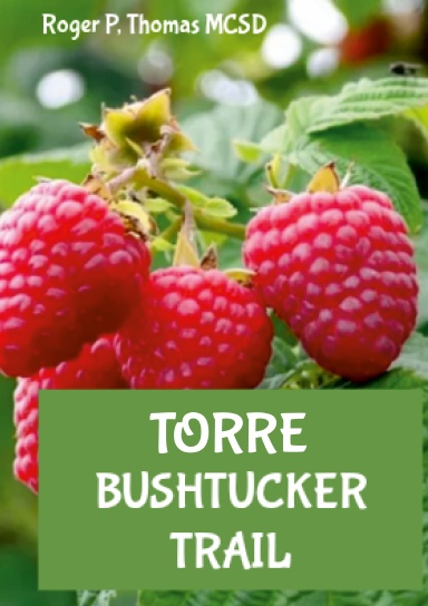 TORRE Bushtucker Trail