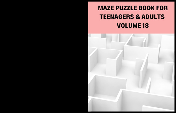 MAZE PUZZLE BOOK FOR TEENAGERS & ADULTS VOLUME 18