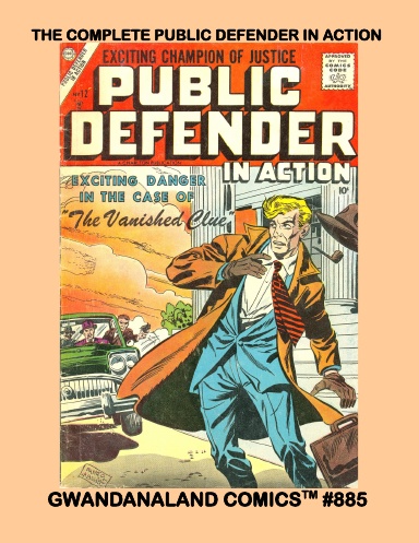 The Complete Public Defender In Action