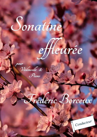 Sonatine effleurée, conducteur
