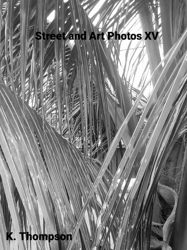 Street and Art Photos XV