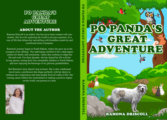 Po Panda's Great Adventure