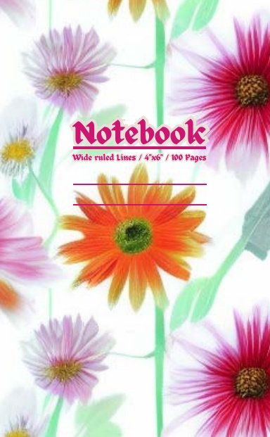 Travel & Adventure Small Pocket Notebook / Wide ruled lines / 4" x 6" / 100 Pages