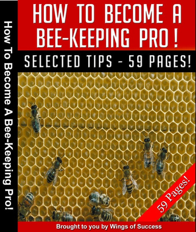 How To Become A Bee-Keeping Pro!