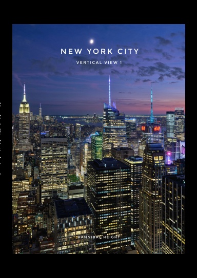 New York City Vertical view
