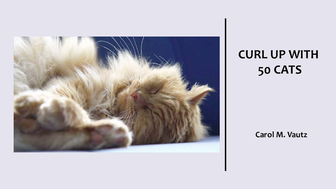 Curl Up With 50 Cats
