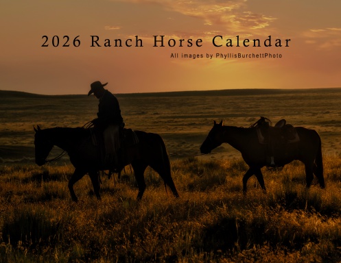 2026 Ranch Horse Calendar by PhyllisBurchettPhoto