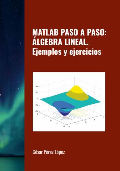 MATLAB PASO A PASO: ÁLGEBRA LINEAL. Ejemplos y ejercicios