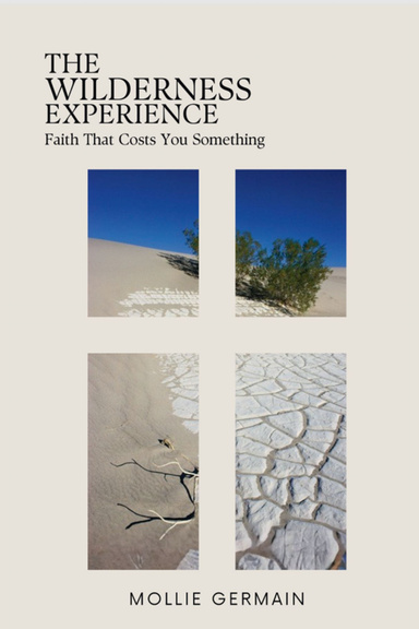 The Wilderness Experience