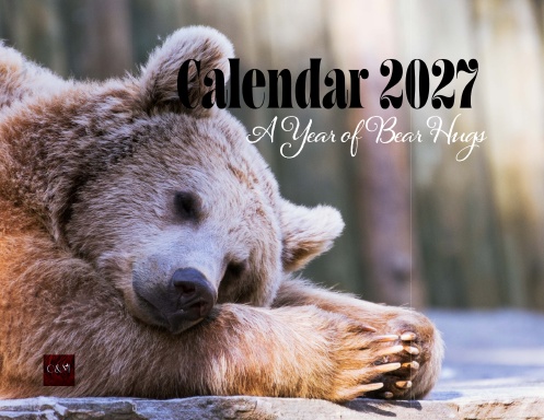 A Year of Bear Hugs