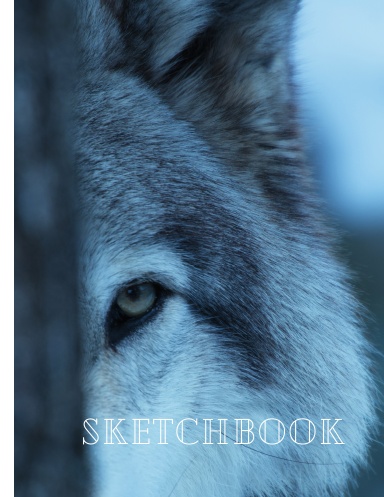 Sketchbook