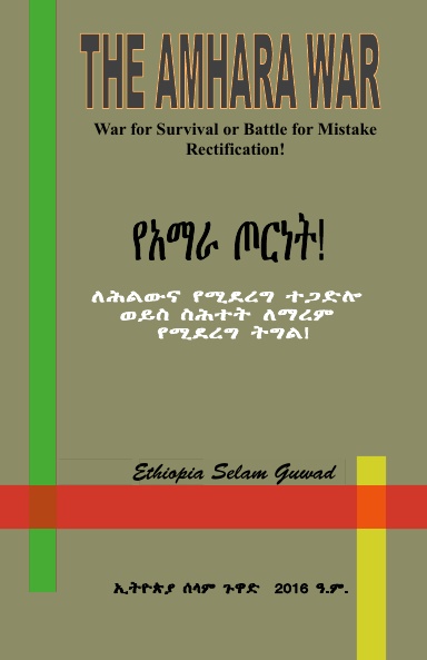 THE AMHARA WAR