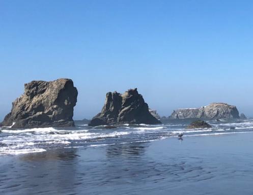 Oregon Coast Bliss 2027