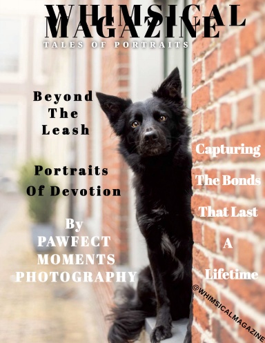 WHIMSICAL MAGAZINE