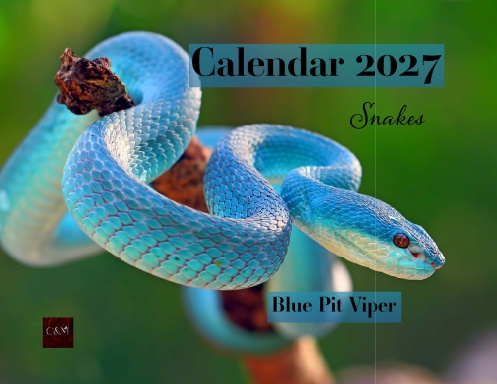 Snakes