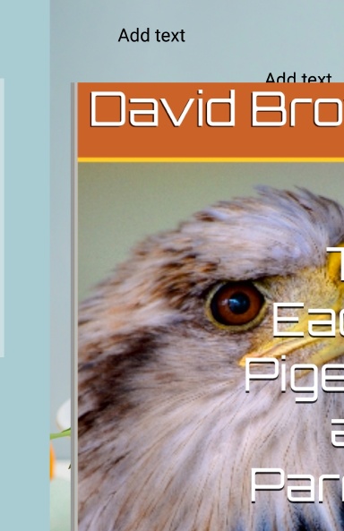 The Eagle, Pigeon, and Parrot!