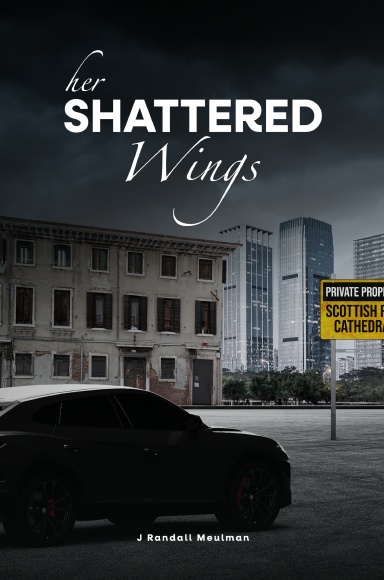 Her Shattered Wings