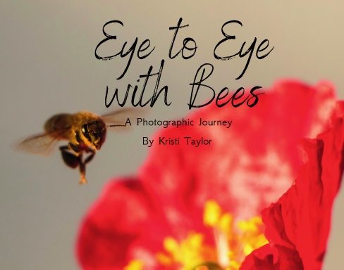 Eye to Eye with Bees