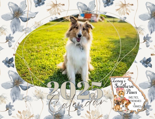 Ioney's Southern Paws 2025 Calendar