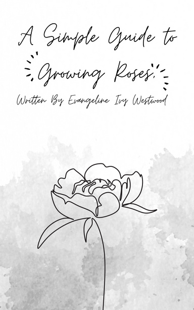 A Simple Guide to Growing Roses