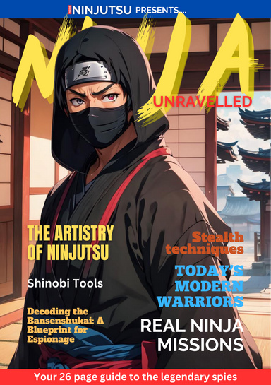 Ninja Unravelled