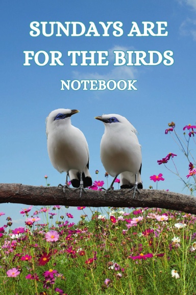 Sundays Are For The Birds