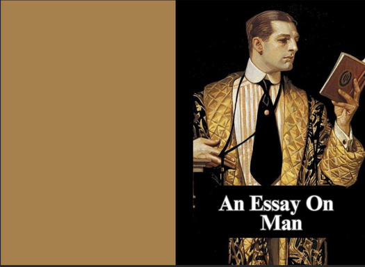 An Essay On Man