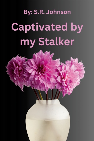 Captivated by my Stalker