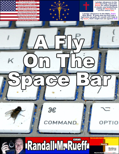 A Fly On The Space Bar
