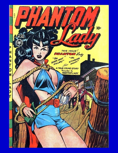 Phantom Lady #17