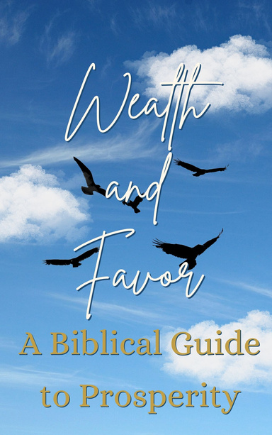 Wealth and Favor : A Biblical Guide to Prosperity