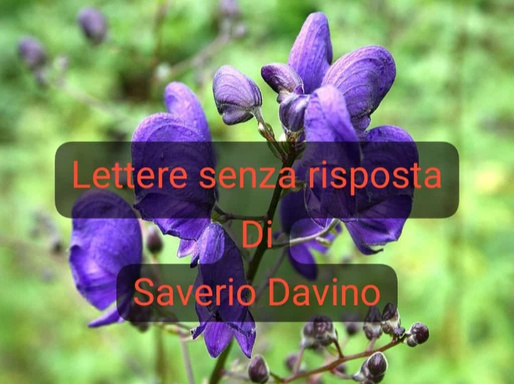 Lettere senza Risposta