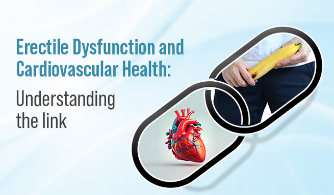 Understanding the Relationship Between Cardiovascular Health and Powerful Erections