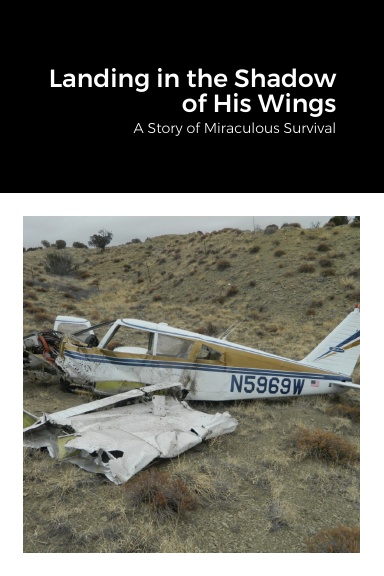 Landing in the Shadow of His Wings
