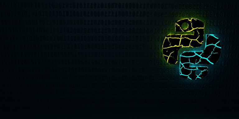 A Beginner's Guide to Python Programming