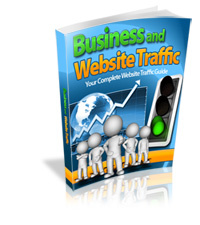 Business and  Website Traffic