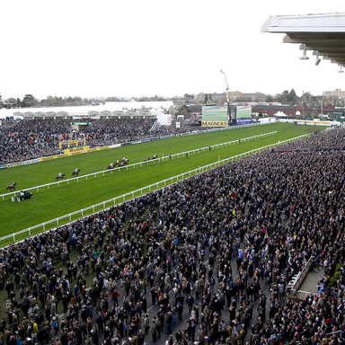 The ultimate guide to Cheltenham festival profits!