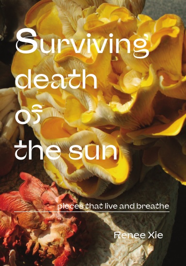 Surviving Death of the Sun
