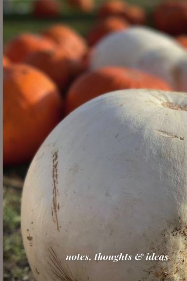 Autumn Pumpkins Notebook
