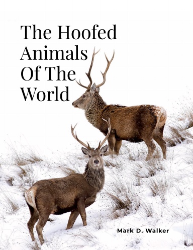 The Hoofed Animals of the World