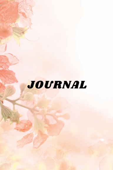Journal