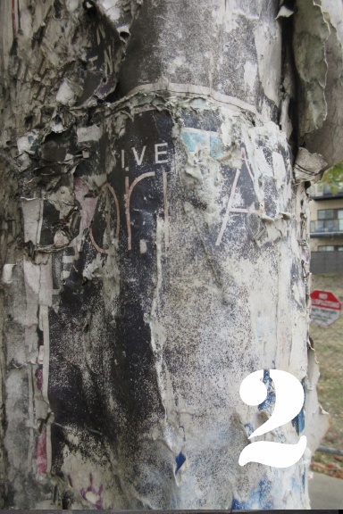 Where the 24 Hour Church of Elvis Was