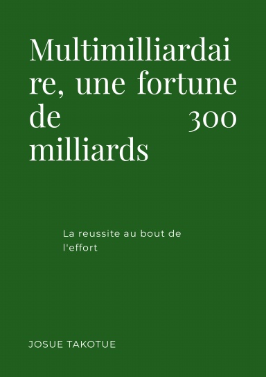 Multimilliardaire une fortune de 300 milliards