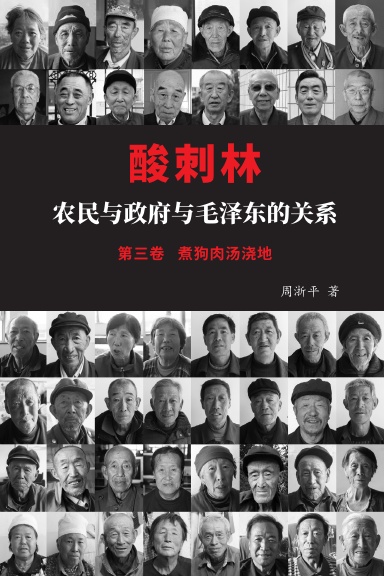 酸刺林: 农民与政府与毛泽东的关系（三卷）