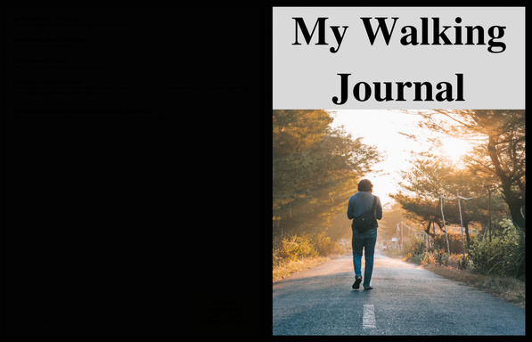 MY WALKING JOURNAL