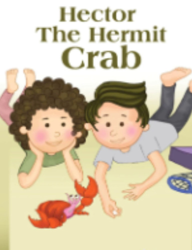 Hector the Hermit Crab