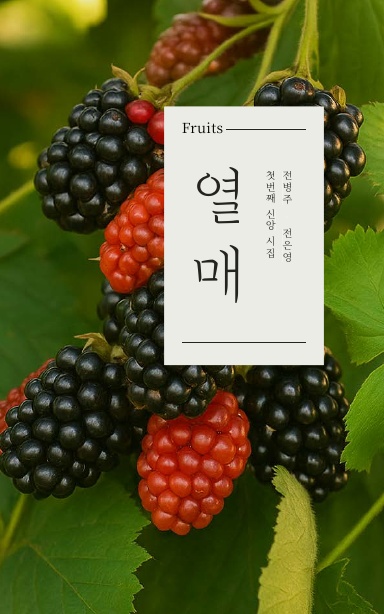 열매