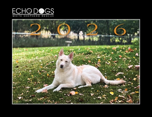 Echo Dogs 2026 Calendar E