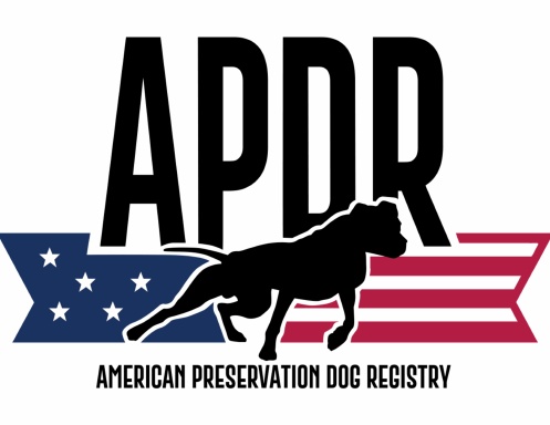 APDR 2026 Calendar (Jr. Handler Edition)