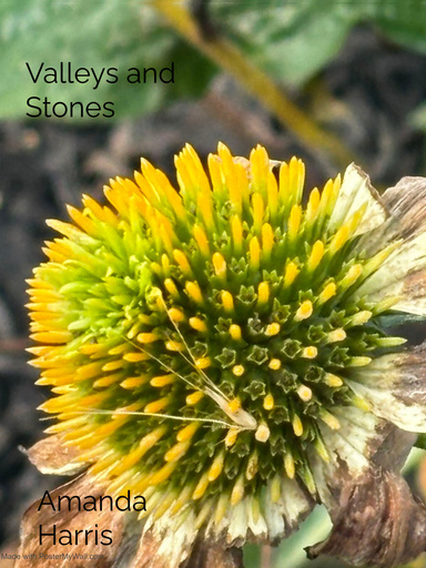 Valleys and Stones